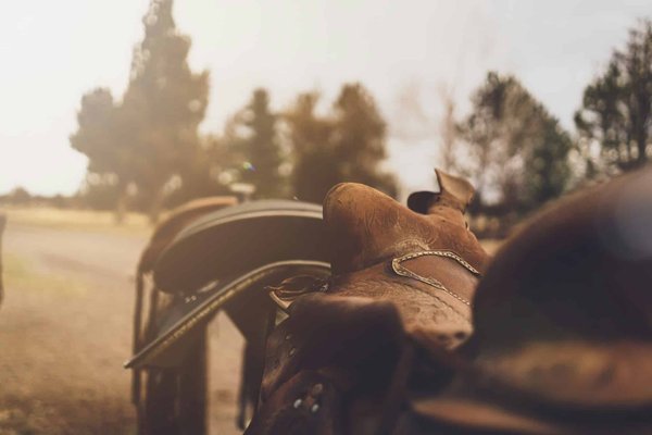 Quelles sont les meilleures pratiques pour nettoyer et entretenir une selle en cuir sur une Indian Chieftain ?